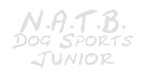 NATB Junior Logo